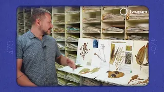 475+ UNAMirada to the future: National Herbarium of Mexico. Institute of Biology. Capsule 21
