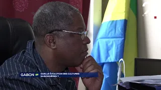 GABON AGRICULTURE: HOW ARE SEASONAL CROPS EVOLVING?