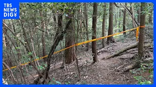 91-Year-Old Woman Found Dead in Forest; 33-Year-Old Vietnamese National Arrested for Trespassing ...