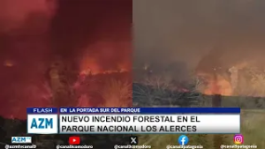 Nuevo incendio forestal en el Parque Nacional Los Alerces