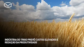 Wheat industry forecasts high costs and lower productivity