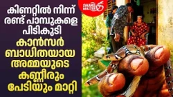 കാൻസർ ബാധിതയായ അമ്മയുടെ കണ്ണീരും പേടിയും മാറ്റി വാവ സുരേഷ് | Snake Rescue | Snakemaster EP 1230