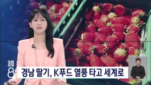 경남 딸기 세계로 / KNN