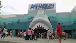 Tarifa para ingresar al Aquarium del Puerto de Veracruz con descuento del 7.45 %