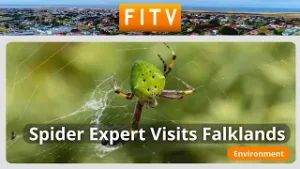 Международный эксперт по паукам посетил Фолклендские острова.