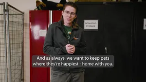 Pet Tips | Benefits of Training