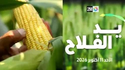 يد الفلاح : الأحد 11 أكتوبر 2026