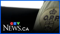 Dog shot, killed in Thessalon First Nation: OPP