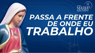 Mary Goes Before Us Novena | 09/29/26 | Father Rodolfo Camarotta