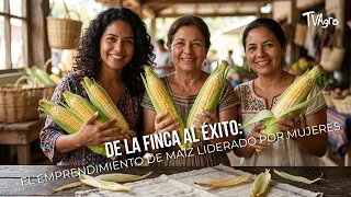 From Farm to Success: The Women-Led Corn Business - TvAgro by Juan Gonzalo Angel