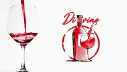 DiVino - Da Chiara Ciavolich, la scalata di una donna nel mondo del vino