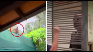 Denuncian a hombre por disturbios