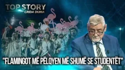 "Flamingot më pëlqyen më shumë se studentët", Dash Shehi: Pres produkt politik
