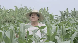 🎥 រឿង #វាលស្រែថែស្នេហ៍ [Ep05] #B2