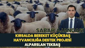 SABAH AJANDASI I KIRSALDA BEREKET KÜÇÜKBAŞ HAYVANCILIĞA DESTEK PROJESİ - ALPARSLAN TEKBAŞ