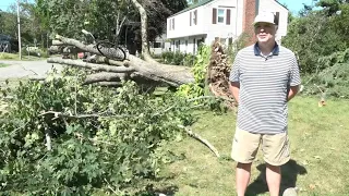 Record-high wind gusts topple trees onto Cape Elizabeth homes