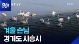 겨울 손님 [뉴스광장 영상] / KBS  2026.02.05.