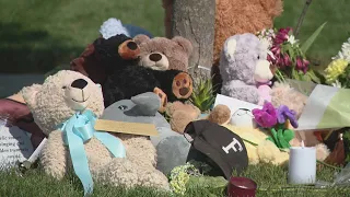 Docs: Frankfort mom accused of killing 2-year-old son was 'very invested' with Lindsay Clancy case