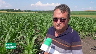 "Without livestock, a crop farm is not profitable!" 06/29/2026