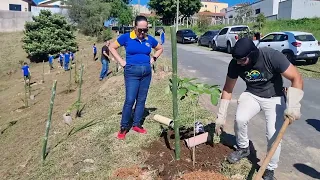 LIONS CLUBE ALUMÍNIO PLANTS TREE SAPLINGS