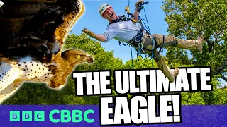 I Watched Africa's Deadliest Eagle on the Hunt! 🦅 | Deadly 60 | CBBC