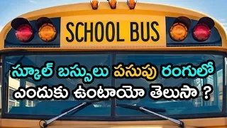 స్కూల్ బస్సులు పసుపు రంగులో ఎందుకు ఉంటాయో తెలుసా? | Why School Buses Are Yellow | GarudaTV