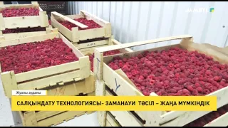 Салқындату технологиясы- заманауи тәсіл – жаңа мүмкіндік