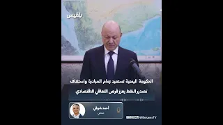 Journalist Ahmed Shawqi: The Yemeni Government Regains the Initiative