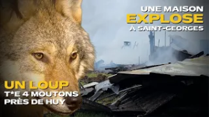 HEBDO DE LA PROVINCE DE LIÈGE : ATTAQUE DE LOUP, EXPLOSION D'UNE MAISON, CARNAVAL, 5E PLACE AUX JO