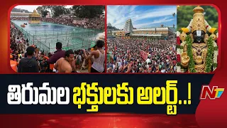 తిరుమల భక్తులకు అలర్ట్..! శ్రీవారి పుష్కరిణిలో భక్తులకు 40 రోజుల నో ఎంట్రీ | Tirumala | TTD | NTV