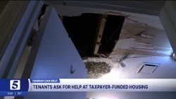 Rats, mold, and failed inspections: Fairview residents say apartments are unsafe