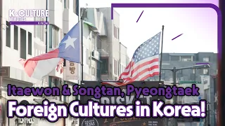 [K-CULTURE MINUTES: K-NOW] Ep.27 Korea's International Neighborhoods