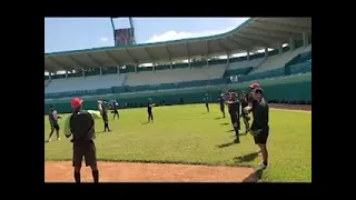 Cienfuegos Elephants Pre-Selection Training