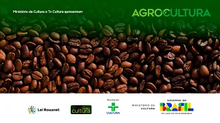 Agriculture | Coffee, pine nuts and innovation in the field | 05/31/2026
