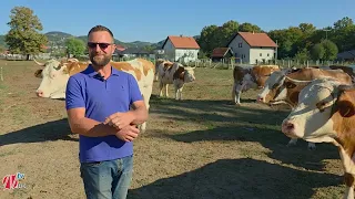 Poljoprivredom se bavi 25 godina: "Kren'o sam sa jednom ovcom"