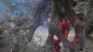 Wildfires in Greece: Two firefighters dead and 8,000 people evacuated in Crete