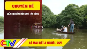 CÀ MAU ĐẤT & NGƯỜI 25-2-2026 | ĐIỂM HẸN BÌNH YÊN DƯỚI TÁN RỪNG
