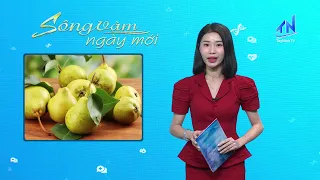 Health Care