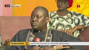 Serigne Gora Seye  Phytothérapeute : « C’est la nature qui nous nourrit et nous soigne »