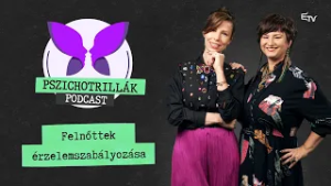 Felnőttek érzelemszabályozása a munkahelyen – Pszichotrillák