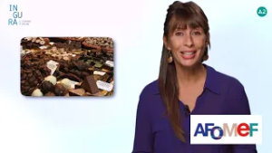 INGURA: INGURA. Euskara A2 maila: 39. atala (Azalpena)