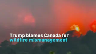 Trump blames Canada for wildfire mismanagement