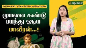 முயலை கண்டு பயந்து ஓடிய மாவீரன் ????? | #Rabbit #GreatWarrior #puthuyugamtv 05/02/2026