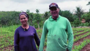 Novo projeto da Epamig busca expandir cultivo de arroz em Minas Gerais