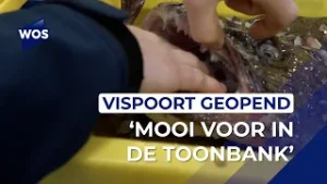 Vispoort in Hoek van Holland geopend