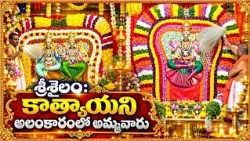 శ్రీశైలం : కాత్యాయని అలంకారంలో భక్తులకు దర్శనమిచ్చిన భ్రమరాంభిక అమ్మవారు