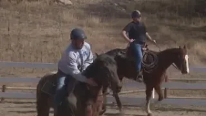 How Colorado Horsepower uses horses to help veterans with PTSD