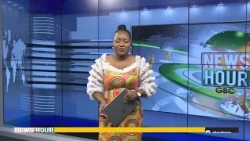 Npp National Executive Elections Tomorrow
