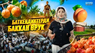 БАТКЕНДИН “БАРГЕК”  ӨРҮГҮ ЭМНЕ ҮЧҮН БААЛУУ?