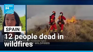 Spain faces deadly wildfires, at least 12 killed, 19 missing in Andalusia • FRANCE 24 English
